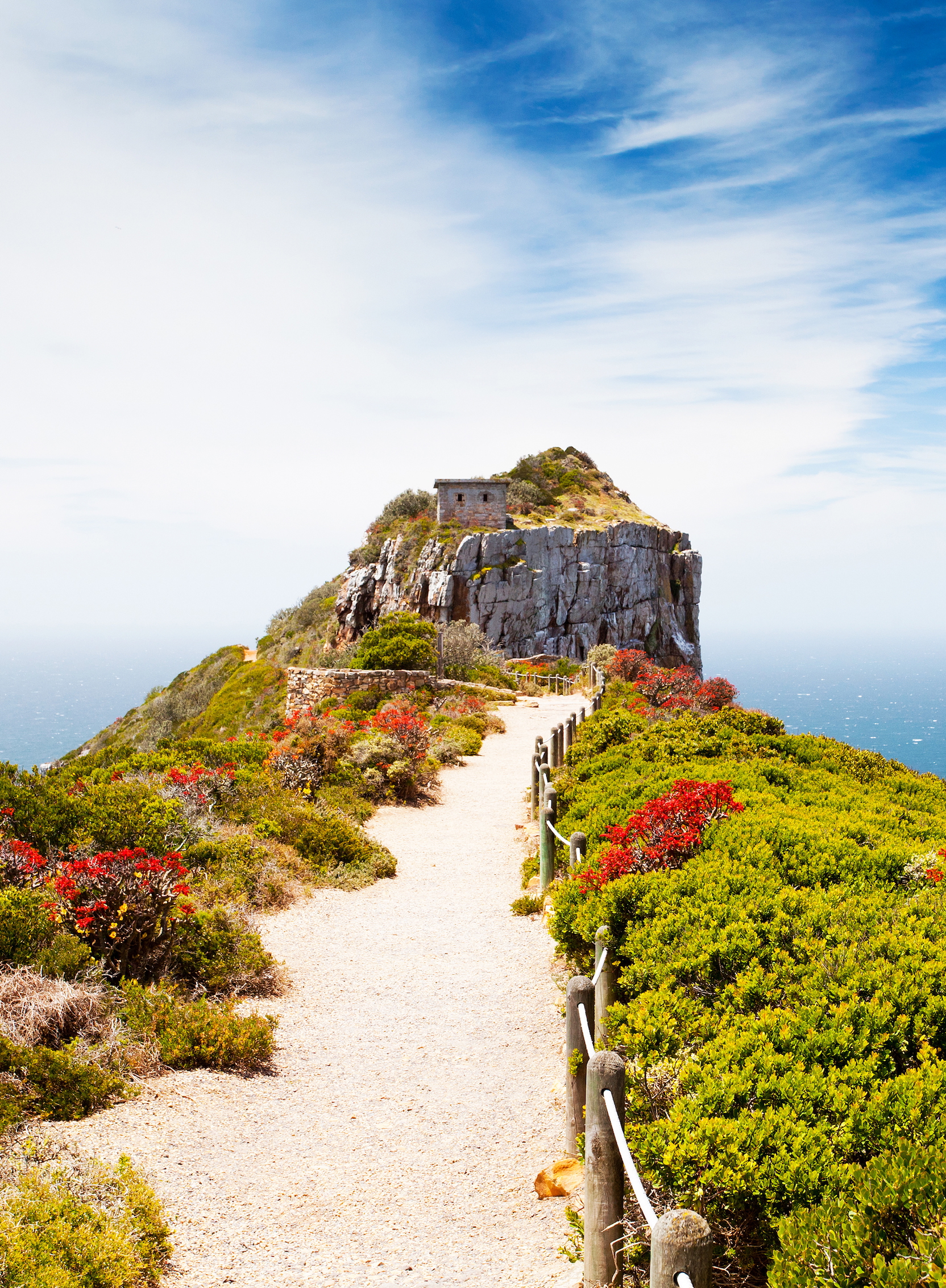 Adobe Stock 38544465 Portrait